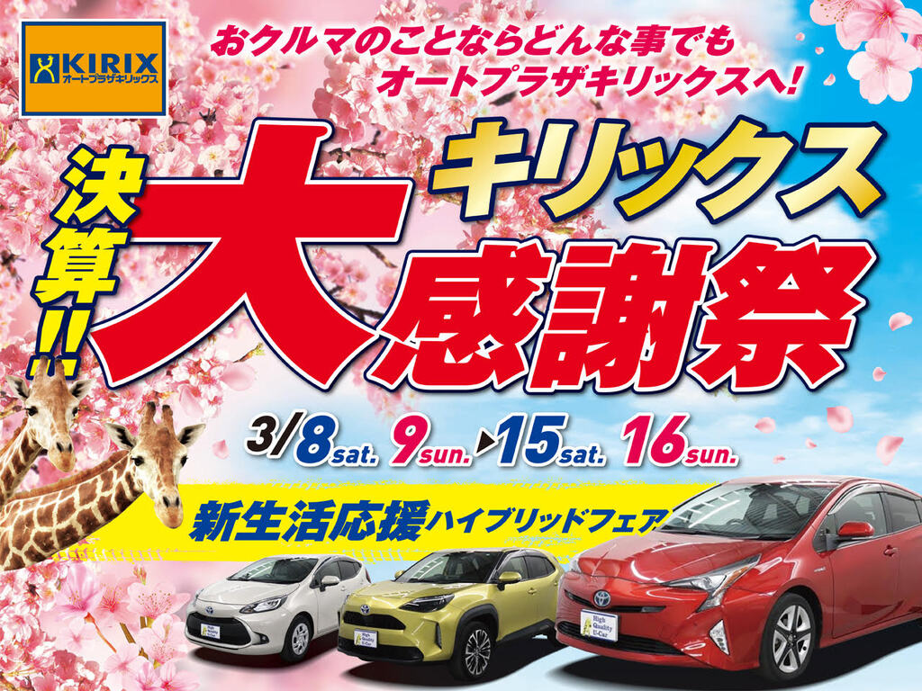 【22%off】定価280,500円 期間限定セール 4月20日締切 楽天市場 | aranciato（アランチェート） - 【6月4日20時